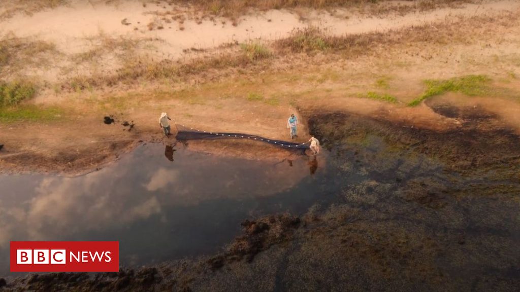 A catastrófica reação em cadeia à seca do rio Paraná