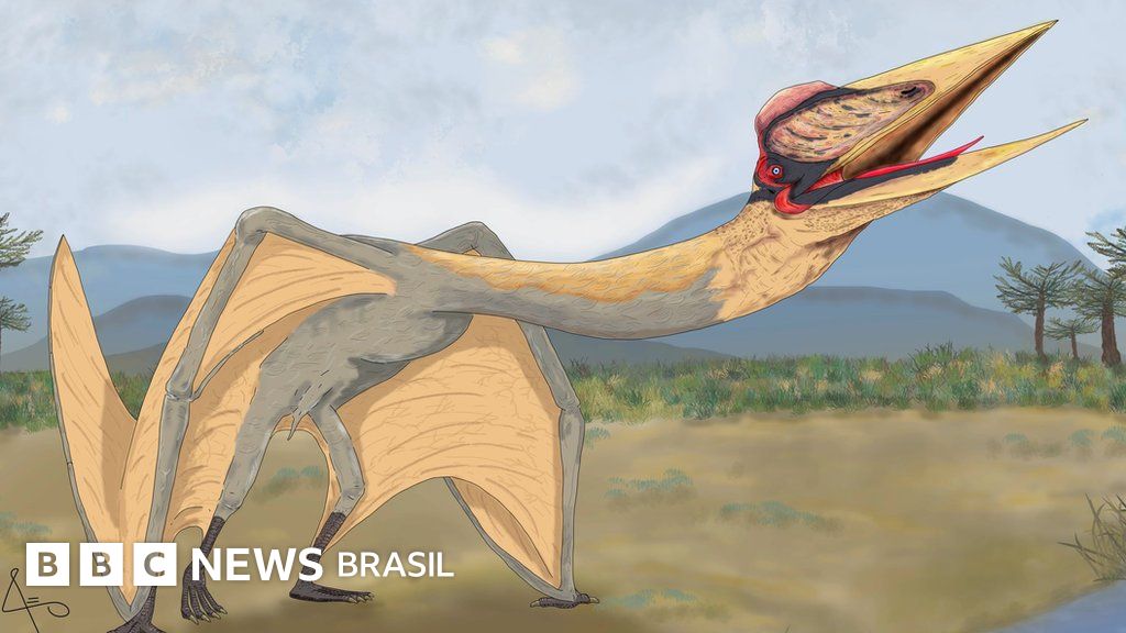 Dragão da Morte: como generation réptil pré-histórico descoberto na Argentina
