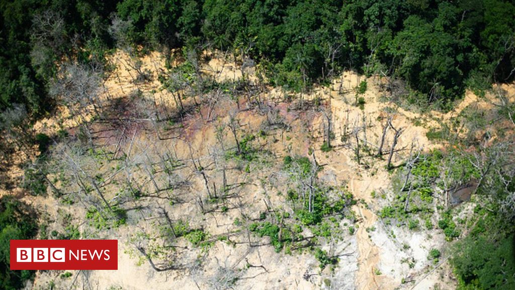 Brasil ignorou decisão de corte internacional sobre os yanomami desde julho