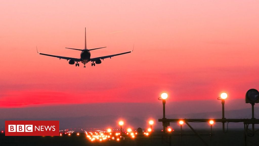 Em plena pandemia, Brasil ganha nova companhia aérea: 1º avião chegou hoje  - 20/02/2021 - UOL Nossa