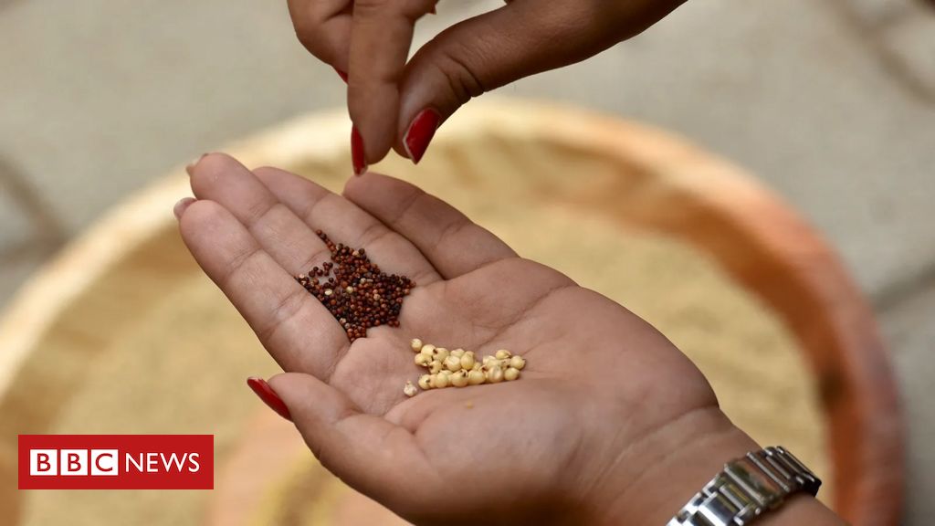 Como proteger a saúde do seu filho se ele quiser ser vegetariano - Vida -  SÁBADO