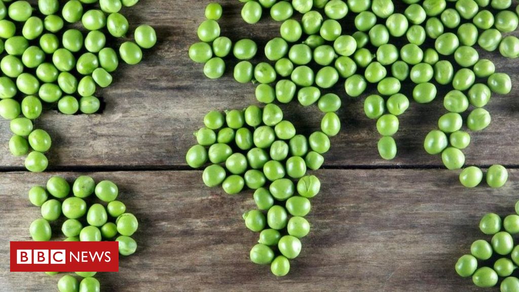 O que aconteceria se o mundo inteiro virasse vegetariano? - BBC News Brasil