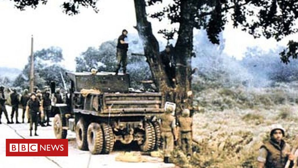 A Poda De árvore Que Quase Causou Guerra Entre Eua E Coreia Do Norte Bbc News Brasil 5953