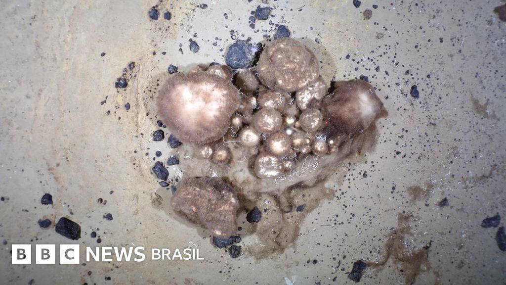 Cientistas desvendam mistério de vida ‘tipo alienígena’ nas profundezas do Ártico