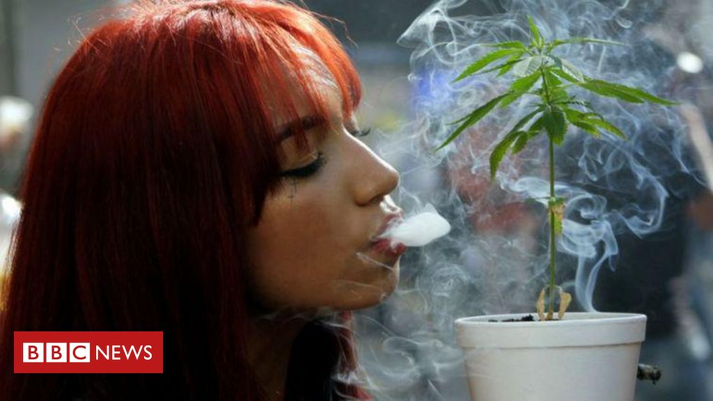 Músico baiano defende a legalização da cannabis