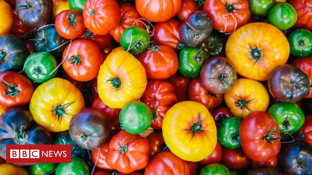 Os benefícios do tomate para a saúde