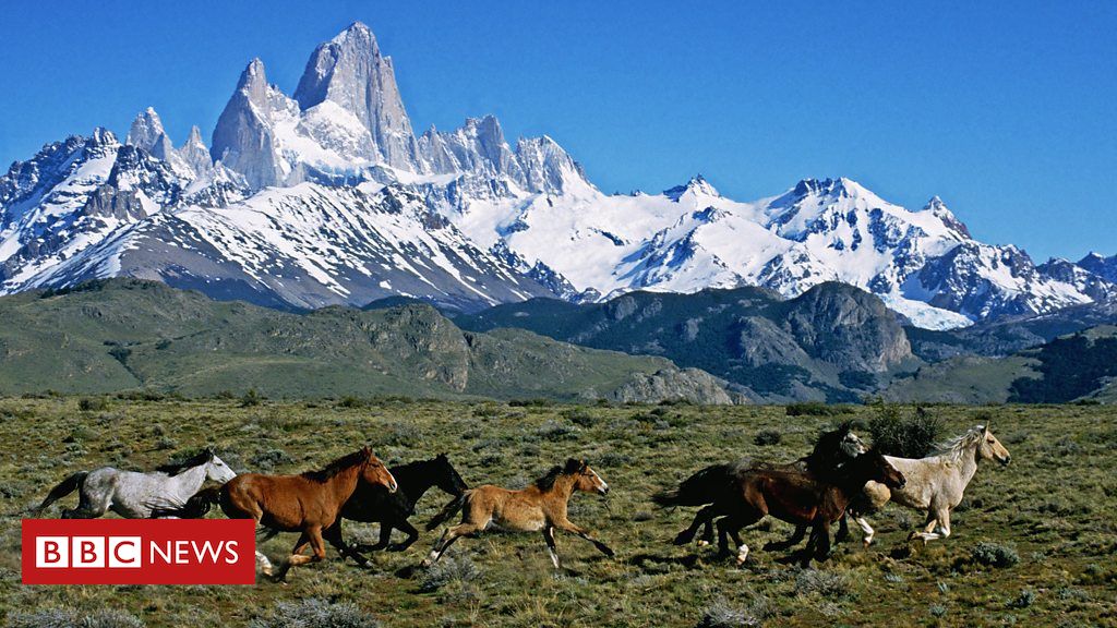 5 lugares parecidos com os EUA para quem quer evitar viajar para o país sob o governo Trump