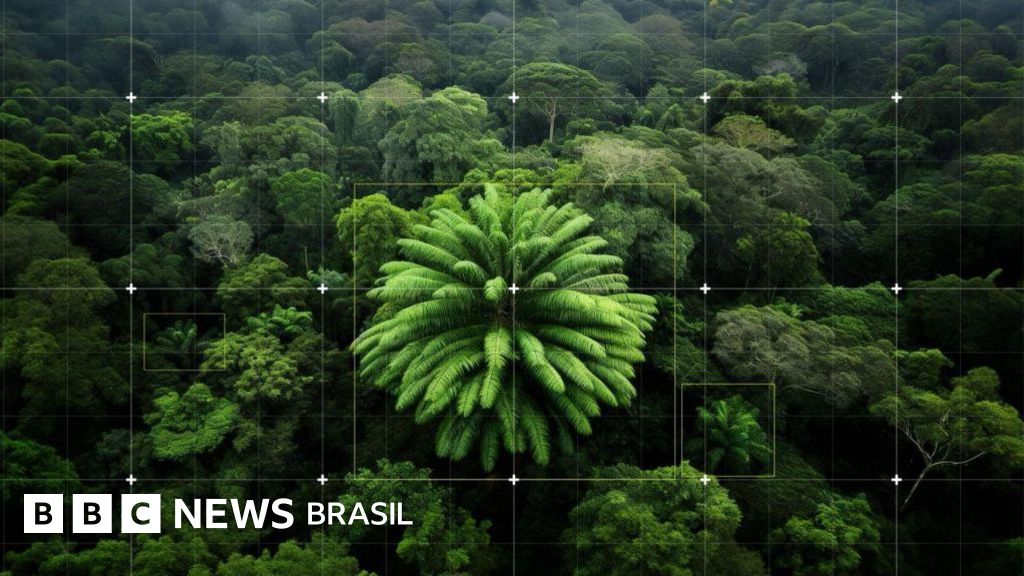 Cientistas buscam par para 'planta mais solitária do mundo'