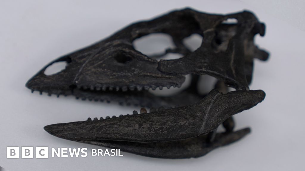 O recém-descoberto dinossauro que tinha o tamanho de um cão