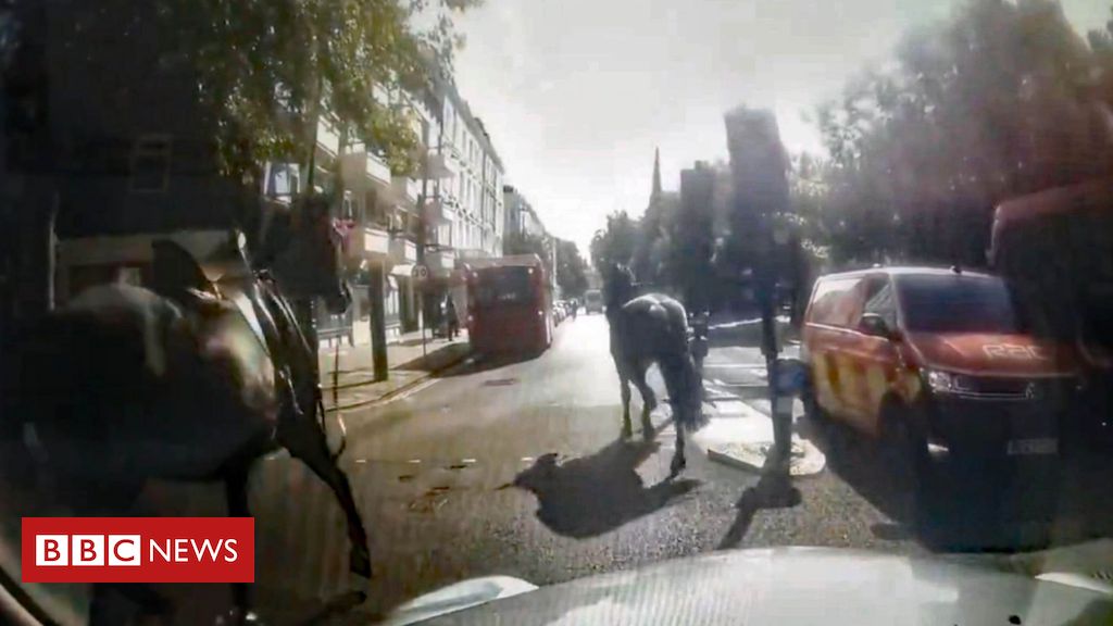 Cavalos militares fogem e correm pelas ruas de Londres