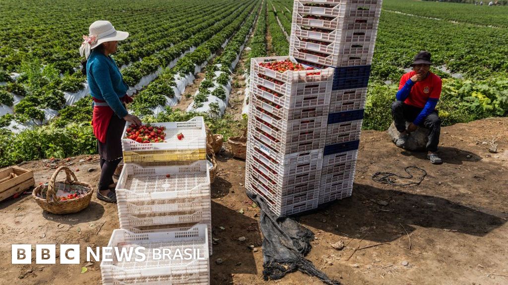 Como Peru transformou um dos desertos mais áridos do mundo em um centro de produção de alimentos