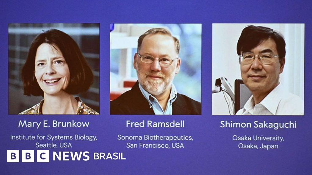 As células que são 'agentes de segurança' do sistema imunológico e renderam Nobel de Medicina de 2025 aos descobridores