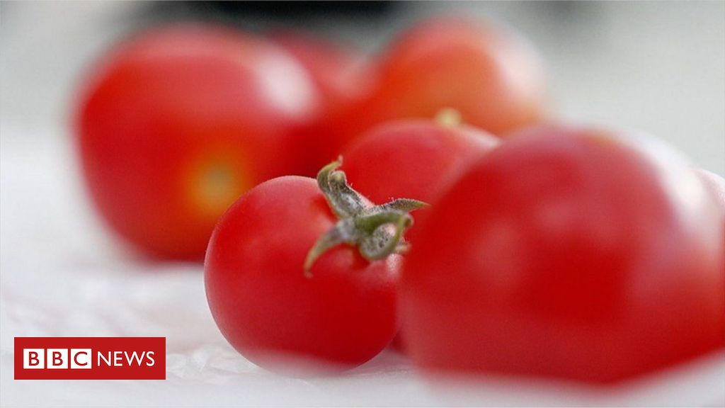 遺伝子組み換え食品とは？ 私たちはそれらを安全に食べることができますか？