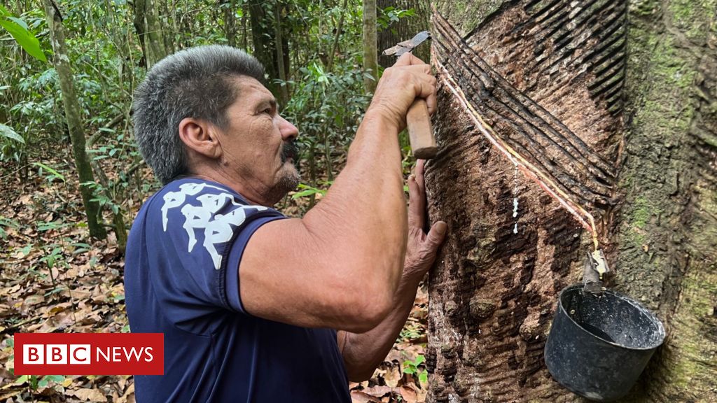 'O seringueiro é o melhor guarda florestal': o novo ciclo de borracha nativa que está ajudando a preservar a Amazônia
