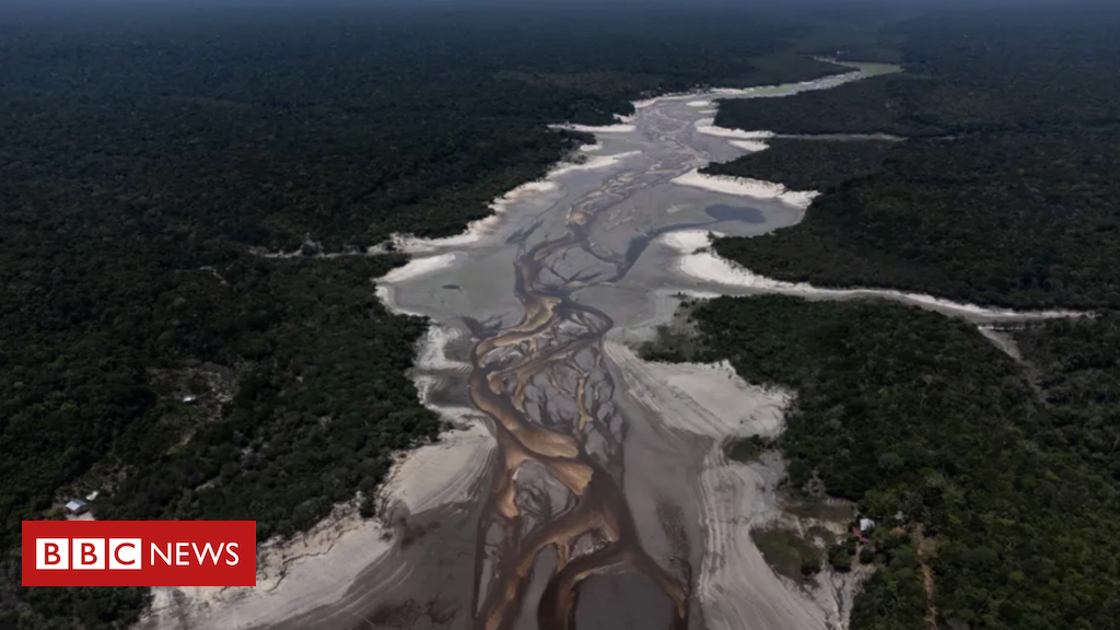 Mudanças climáticas foram 'principal' fator para seca recorde na Amazônia, diz estudo: o que isso significa para o futuro da floresta?