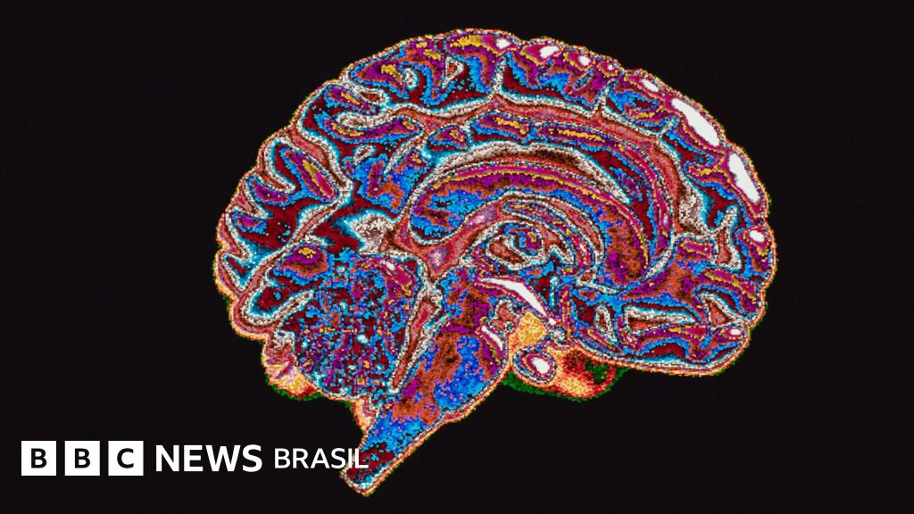 Os seres humanos são corruptos por natureza? O que diz a neurociência