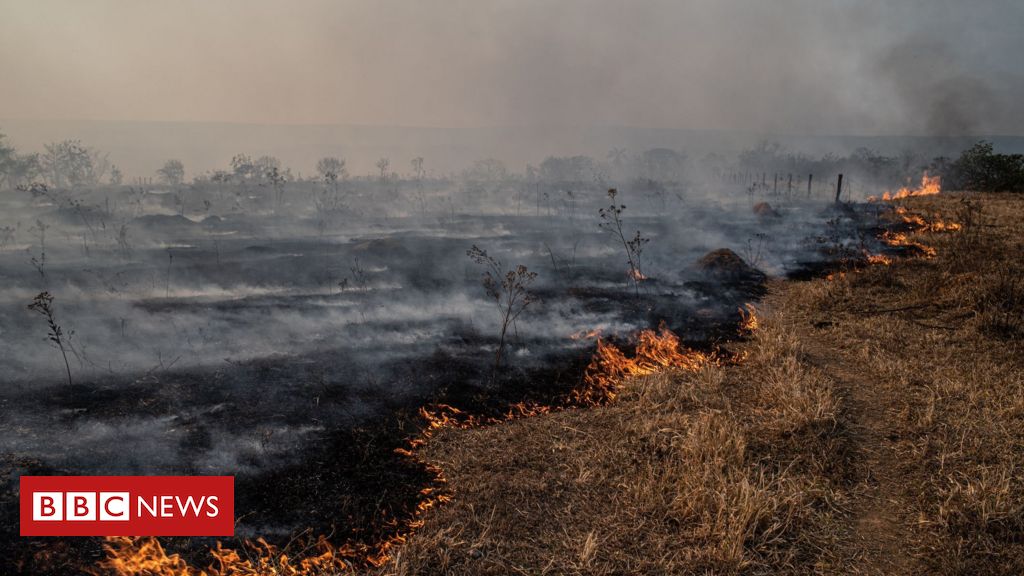 O que explica recorde de incêndios no Pantanal