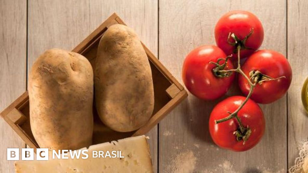 Como uma façanha evolutiva nos deu as batatas — e por que elas não existiriam sem os tomates