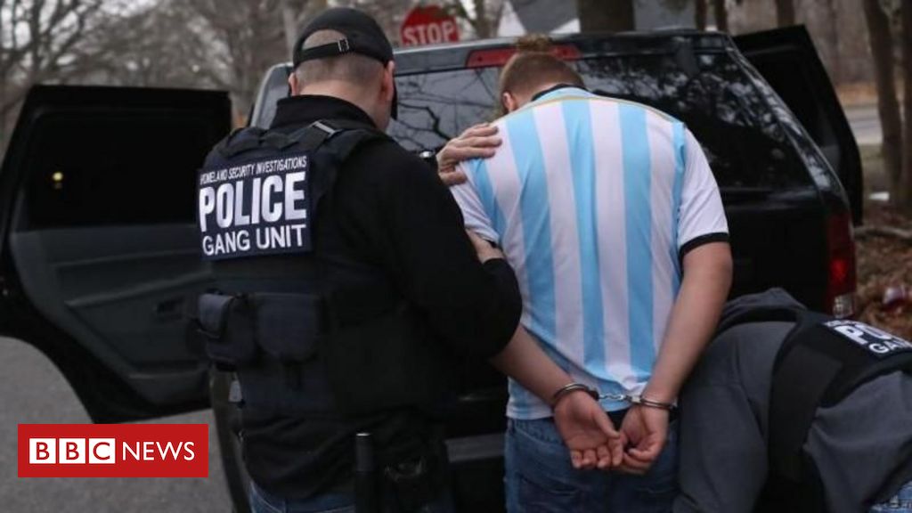 Imiração nos Estados Unidos: quem está sendo preso pelo ICE durante o governo Trump? 