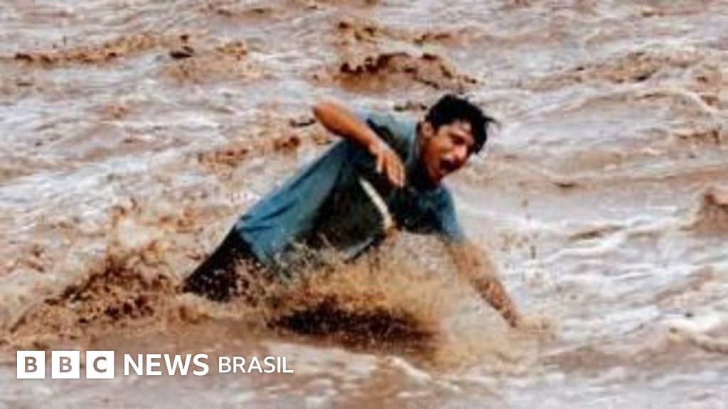 Como proteger sua família, pets e casa ao ser surpreendido por enchente