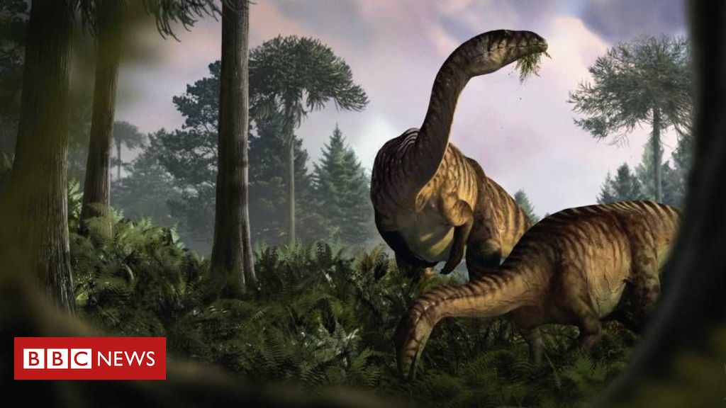 O que fezes e vômito de dinossauros revelam sobre seu domínio na Terra e as mudanças climáticas