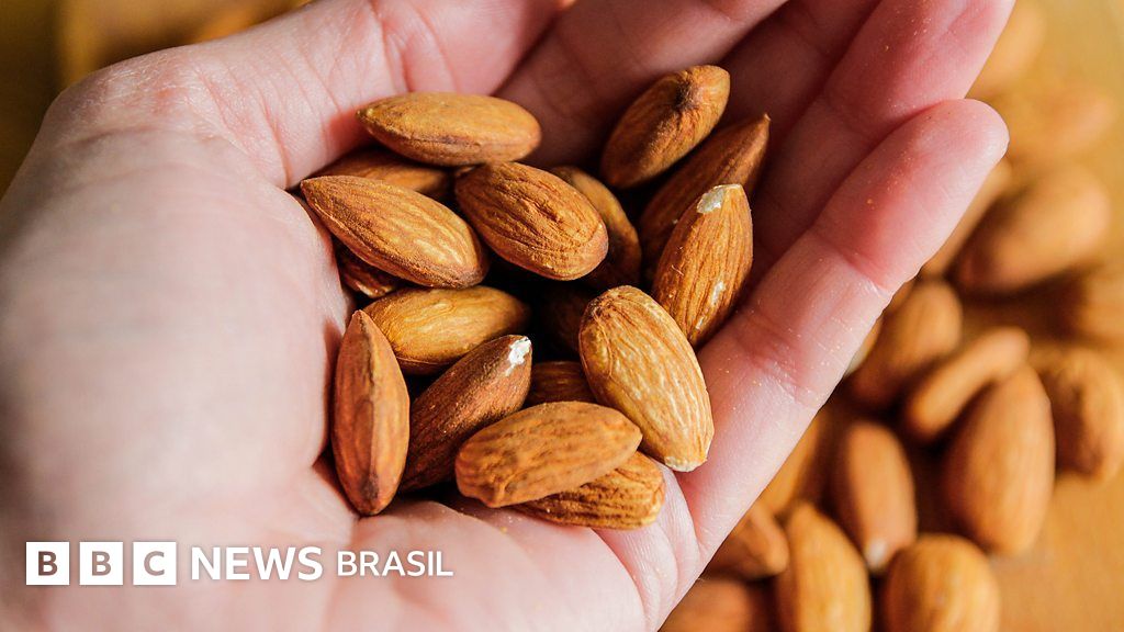 Sete alimentos que você deveria comer mais