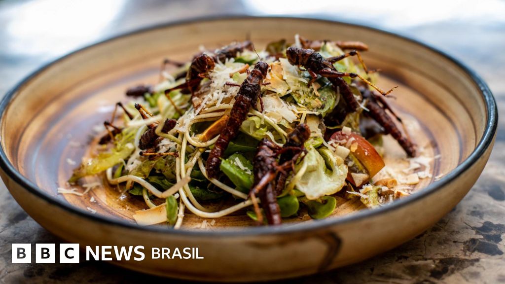 Insetos são o alimento do futuro?