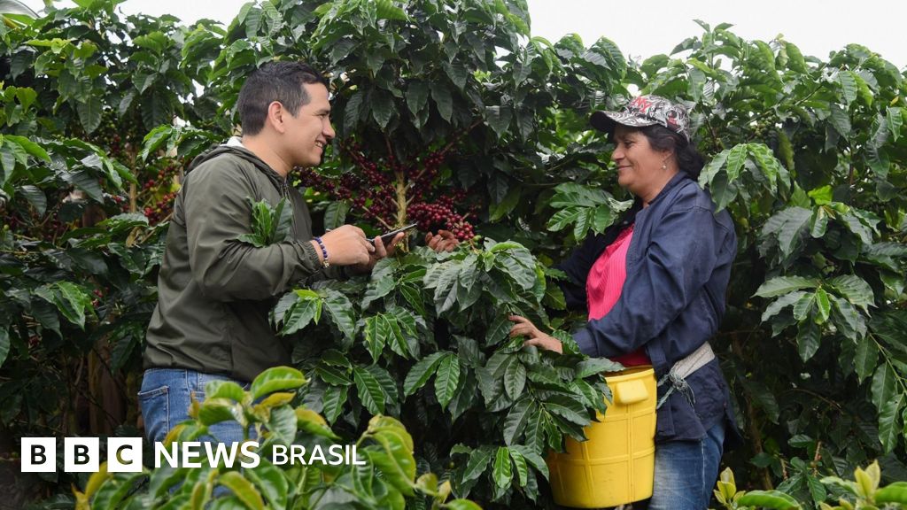 A escola rural na Colômbia que sem biblioteca nem internet conseguiu ganhar um prêmio mundial de educação