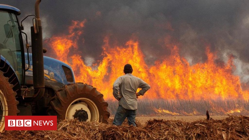 Cinco anos depois, investigações sobre 'Dia do Fogo' são arquivadas e ninguém é responsabilizado