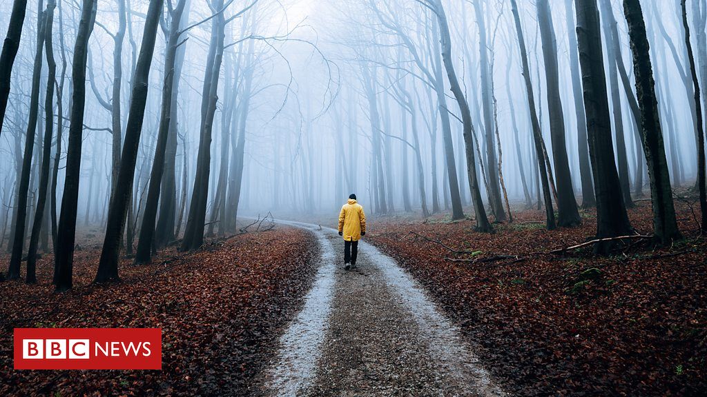 Por que algumas pessoas sofrem de fadiga extrema após doenças como covid e gripe