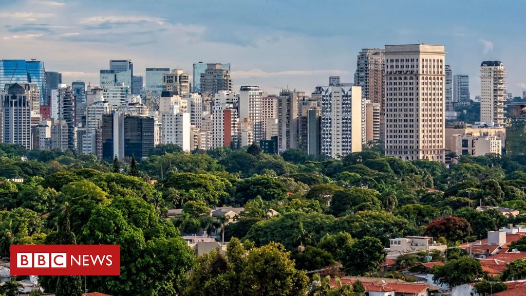 Prefeito de São Paulo diz que mais da metade da cidade são áreas verdes. É verdade?