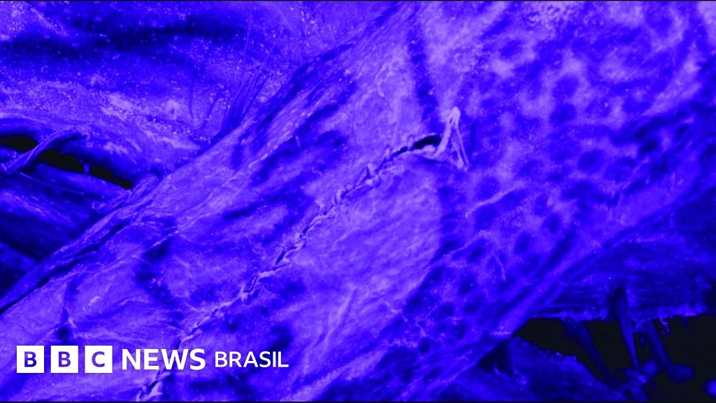 As tatuagens de 2,5 mil anos encontradas em múmia congelada