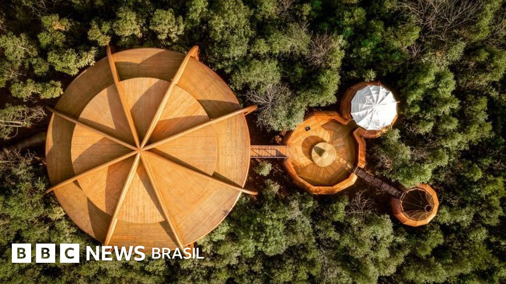 As 10 casas na árvore mais incríveis do mundo