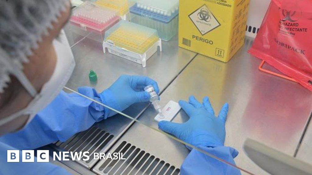 Hantavírus mata quase metade dos infectados no Brasil: veja onde há mais risco (e por que não tem relação com surto em navio de cruzeiro)