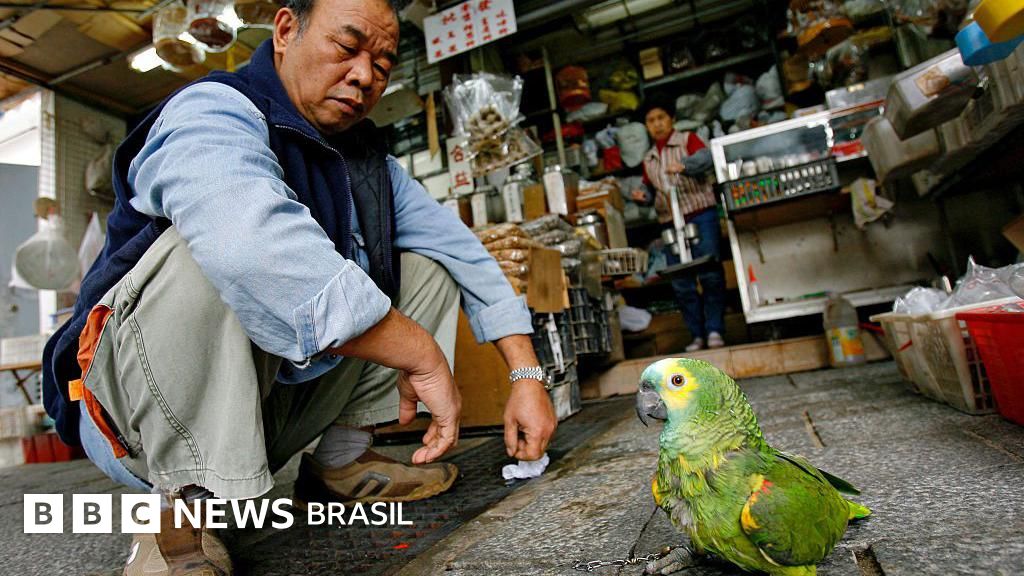 Por que dominar 'agachamento asiático' é fundamental para a saúde