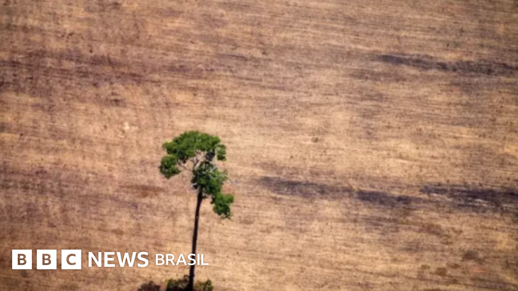 PL ambiental: entenda os vetos de Lula e a negociação com o Congresso