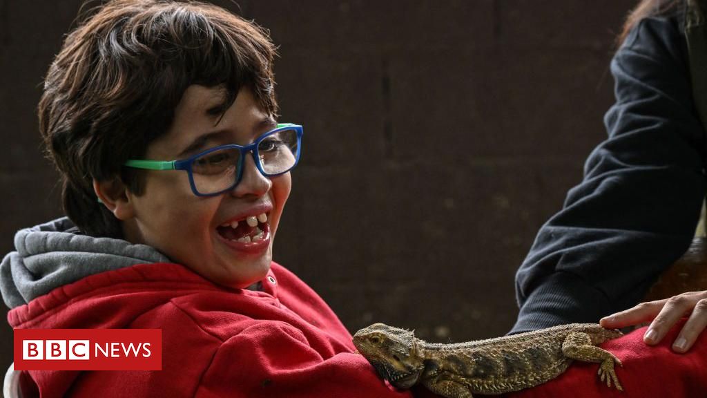13 revelações do Censo inédito sobre autistas e pessoas com deficiência no Brasil