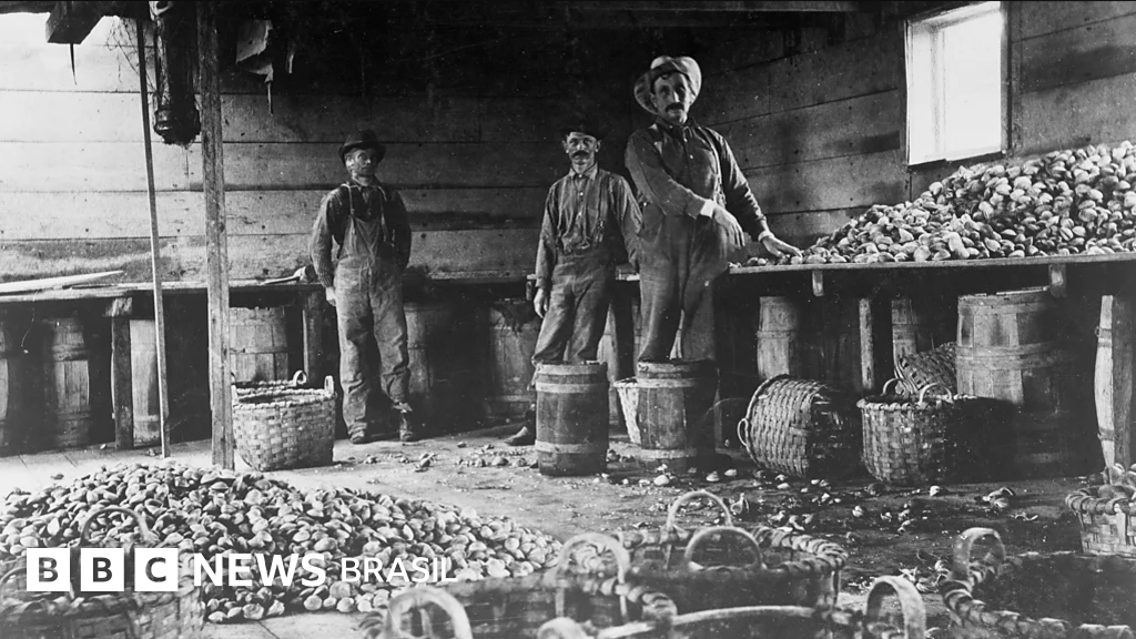 A iguaria que já foi comida rápida e popular para trabalhadores até o século 19