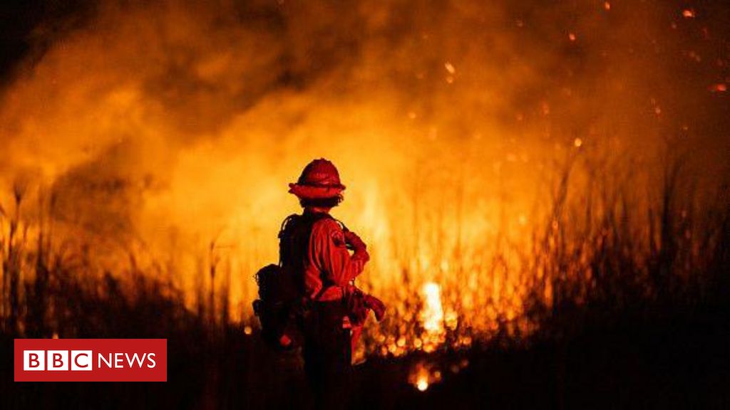 Incêndios florestais vão ficar cada vez mais intensos e prolongados, alerta cientista da ONU