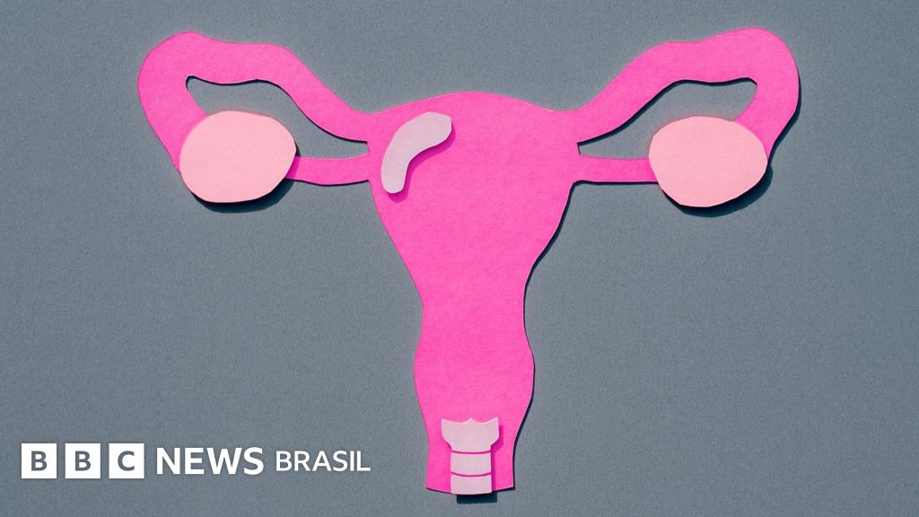 A surpreendente mobilidade do útero e por que ela é fundamental para o sistema reprodutor feminino