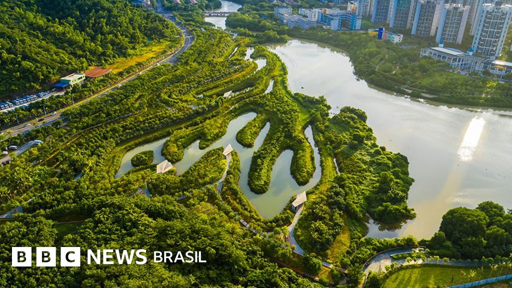 Como conter enchentes no Brasil, segundo criador das 'cidades-esponja': 'Barragens estão fadadas ao fracasso'