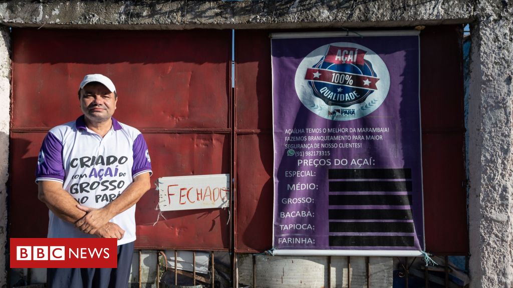 Açaí vira superalimento global, caro demais para famílias pobres do Pará