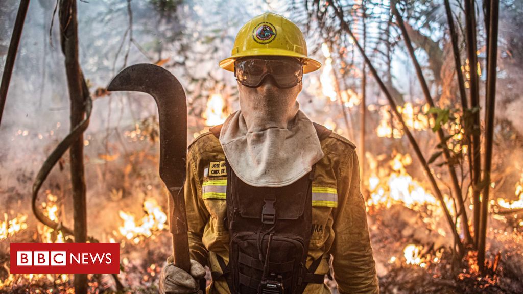 O drama dos brigadistas na mais grave crise de incêndios em 14 anos: 'Nossa vida não vale nada'