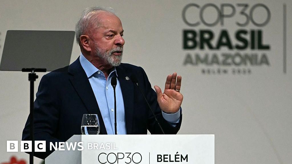 Como funciona fundo que quer usar lógica do mercado financeiro para proteger florestas