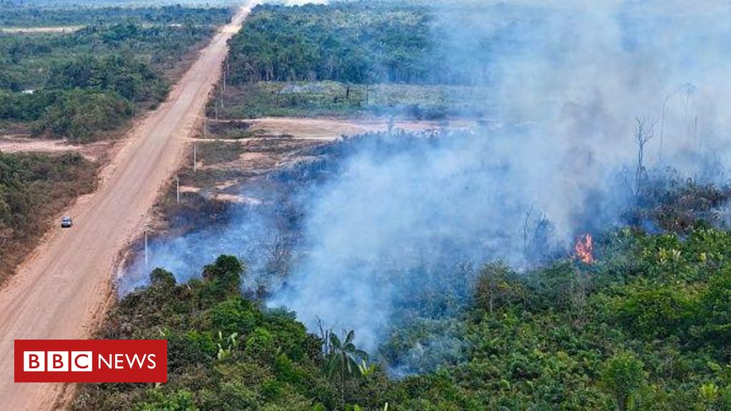 ‘Se BR-319 for asfaltada, vai vir mais gente de fora’: o que pensa quem vive à beira da rodovia na Amazônia sobre a polêmica obra