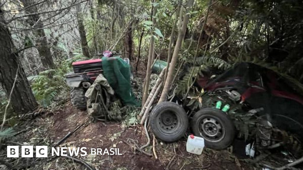 As primeiras imagens de local onde homem morto se escondia com filhos em floresta na Nova Zelândia