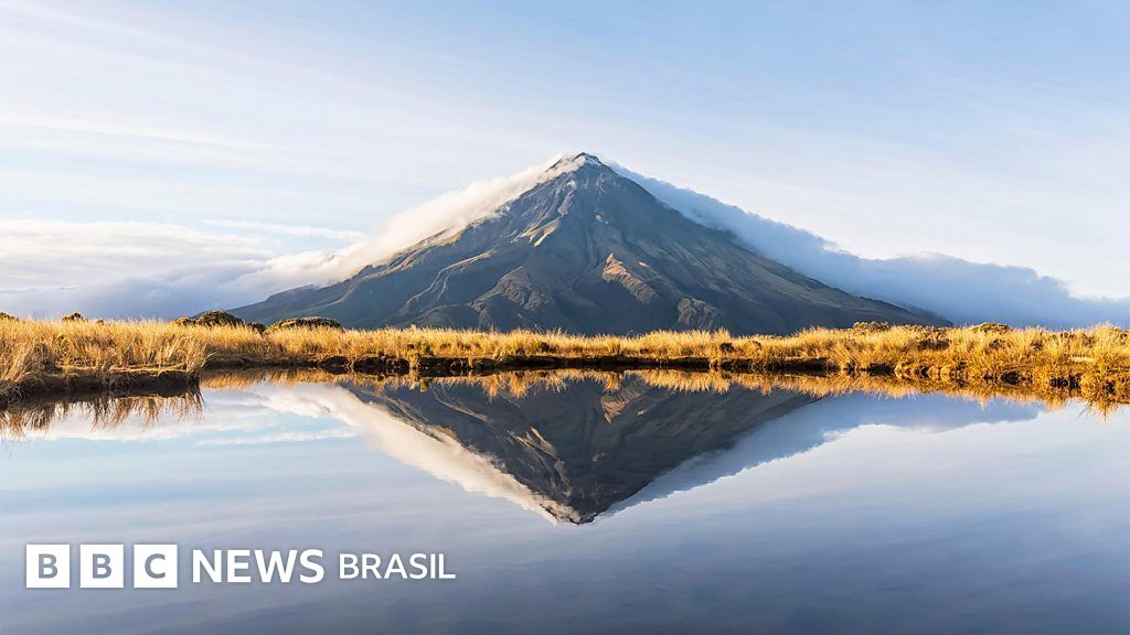 7 boas notícias para o planeta em 2024 que você pode ter perdido