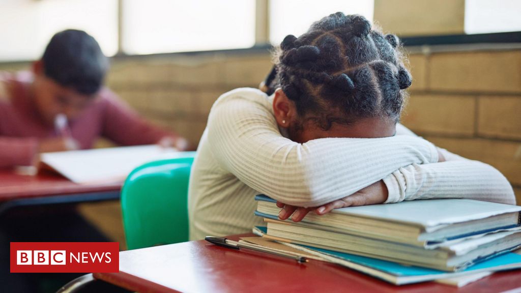 As crianças superdotadas negligenciadas ou expulsas das escolas: 'Meu filho era visto como problema'