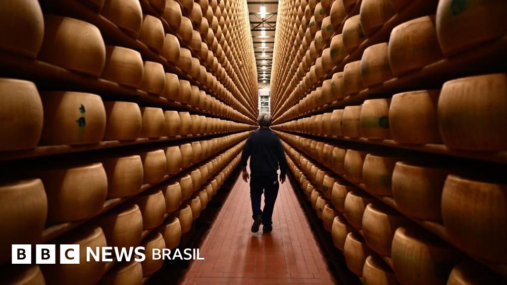 Parmesão com microchip: por que queijo gourmet é alvo de criminosos no mercado clandestino