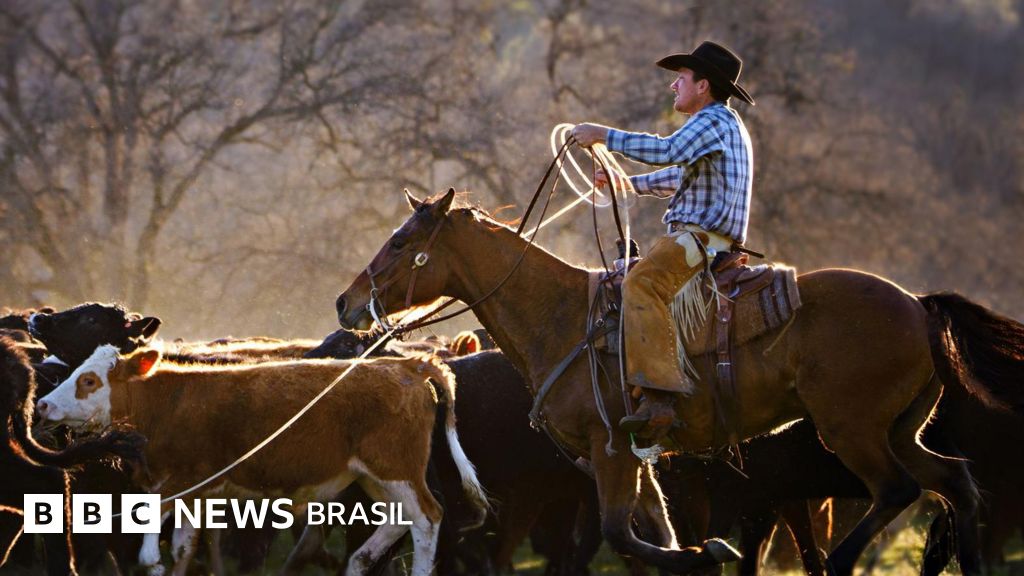 'Traição': a fúria de pecuaristas americanos com plano de Trump de comprar mais carne bovina argentina
